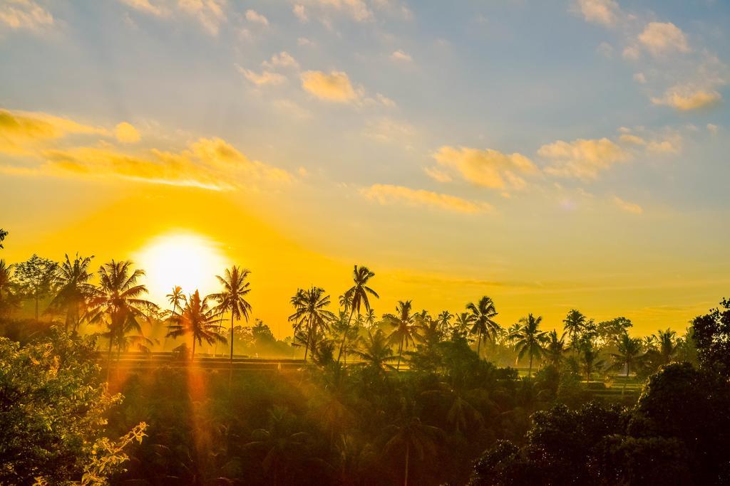 Hotel Griya Sriwedari Ubud Esterno foto