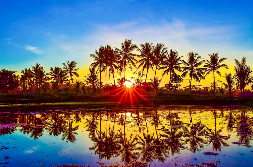 Hotel Griya Sriwedari Ubud Esterno foto