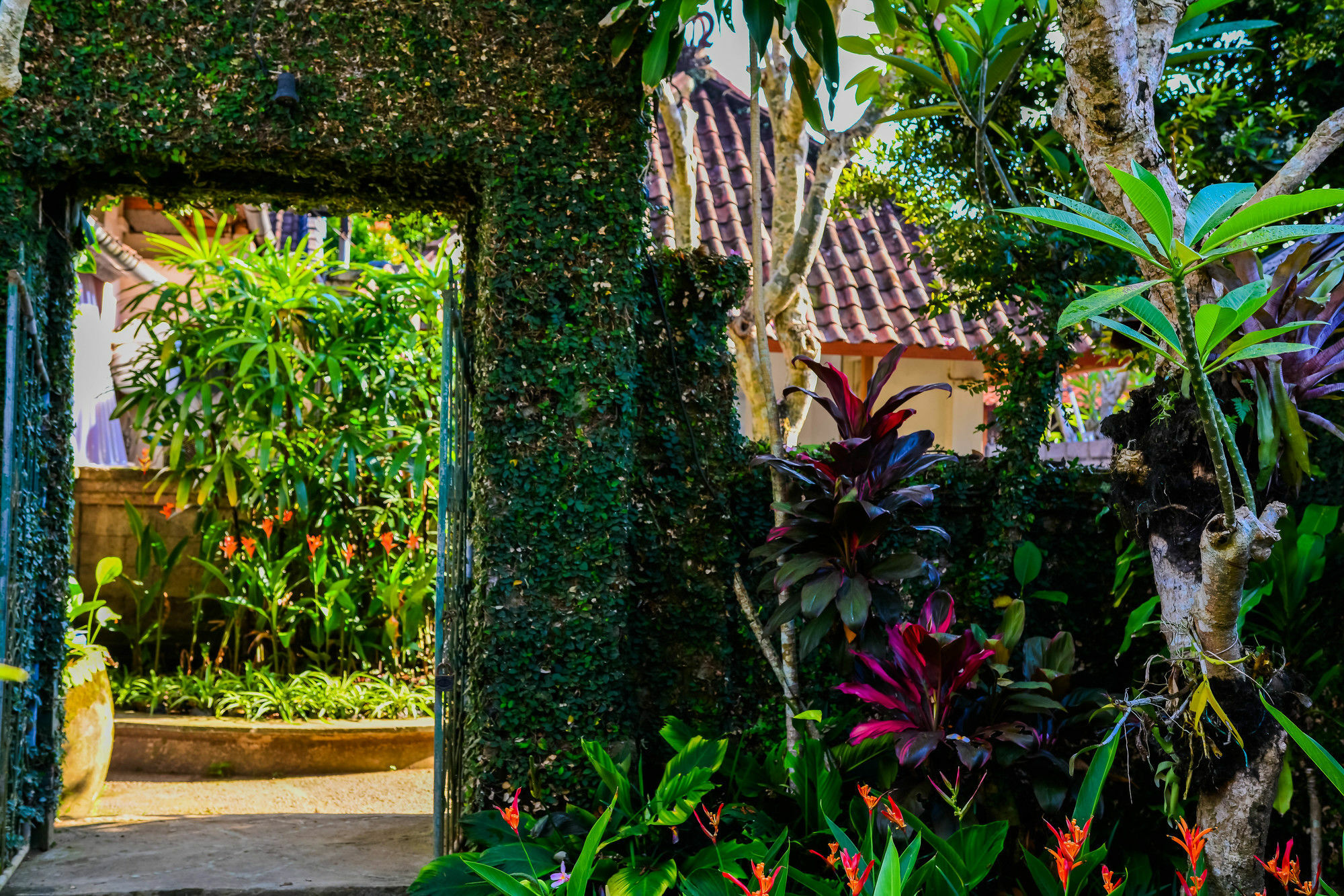 Hotel Griya Sriwedari Ubud Esterno foto